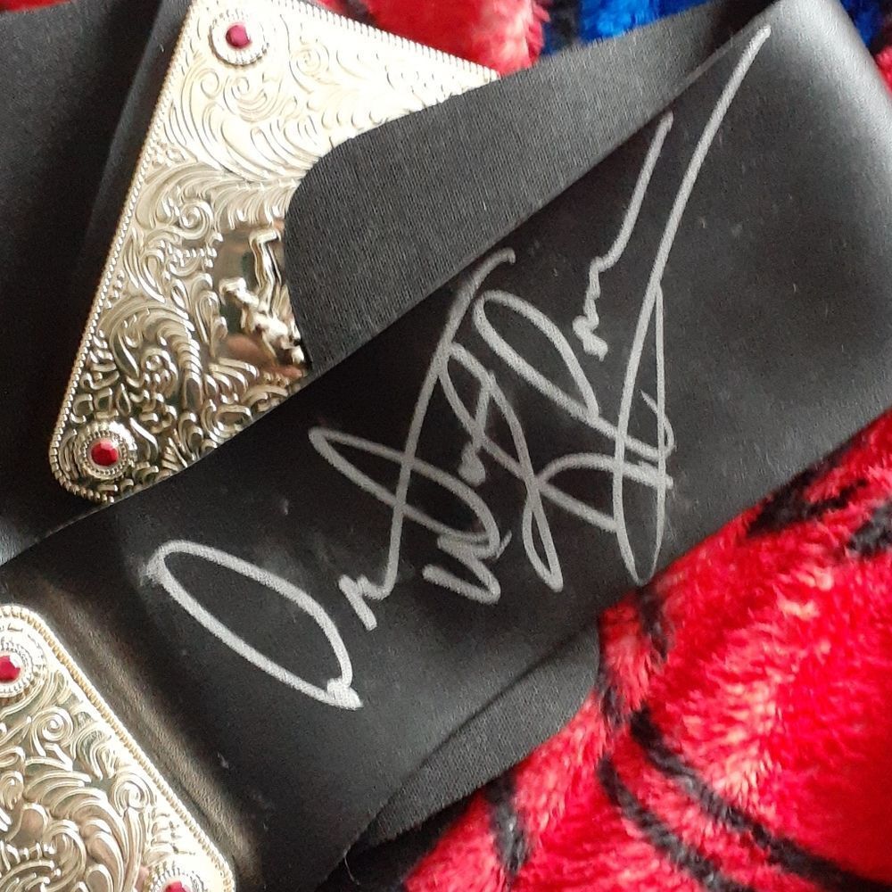 Dennis rodman autographed nwo belt beckett authentication